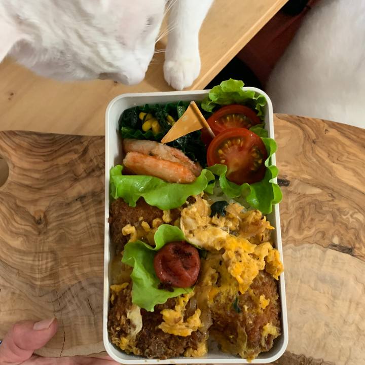 2cd36567 6dae 47e1 954d 1de1e84efb73 1653255639917