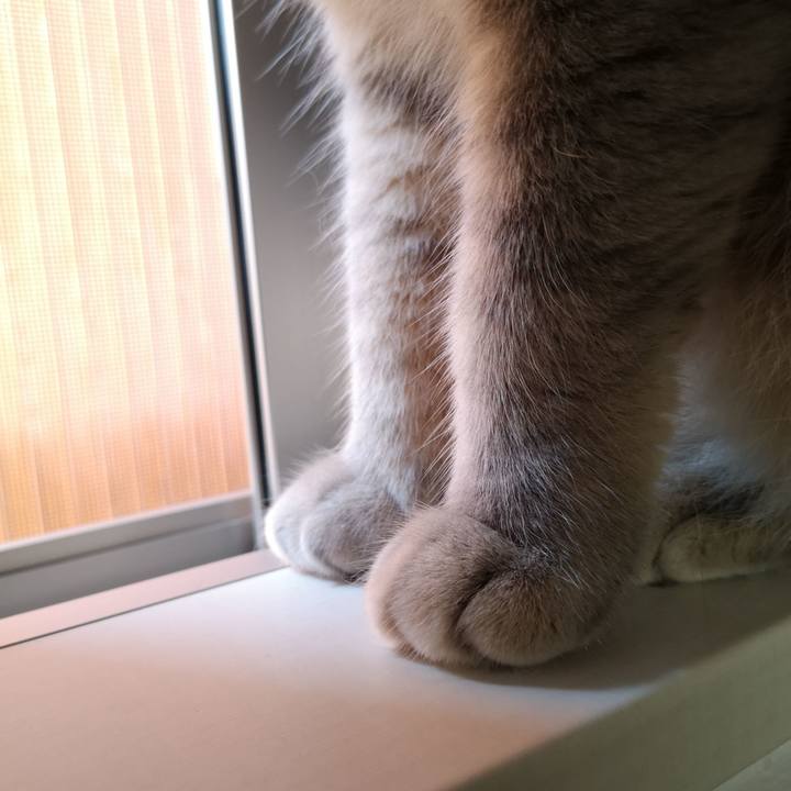 2cd38cc7 6570 42ad be3c b4dbfb5182af 1568345935970