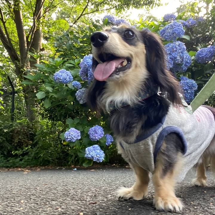 2cd3cf3b d3f3 418b 967a f45ade8f1f20 1751504366028