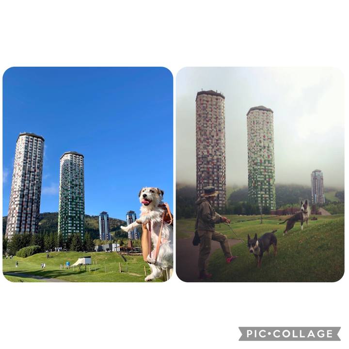 2cd3f3e9 ede0 4167 8256 5610c34f90b6 1663073589013