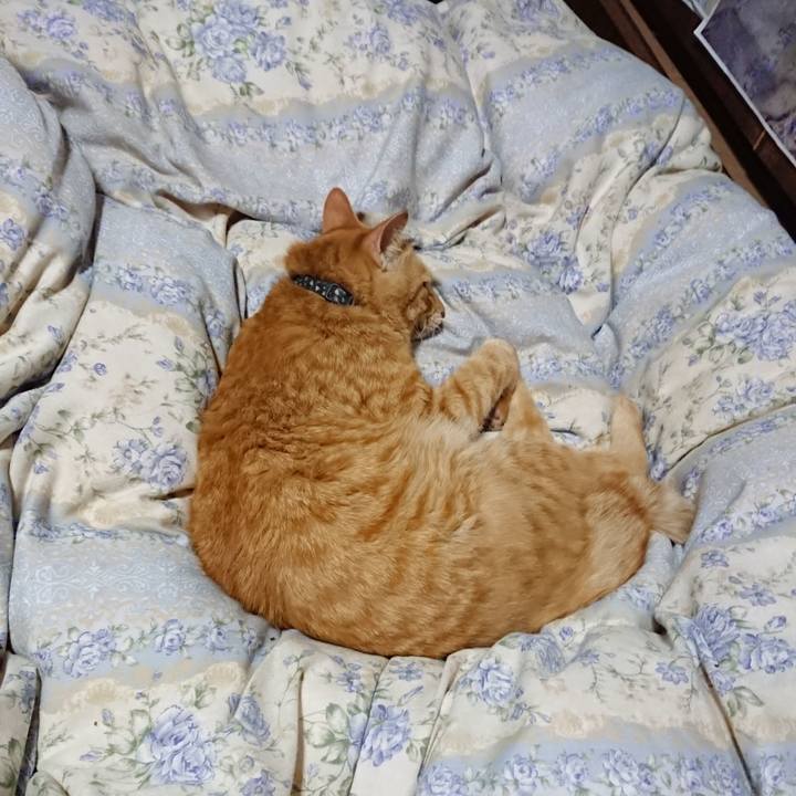 2cd41076 0648 4924 9b9c 1cb2c1a1c1f0 1662382747597