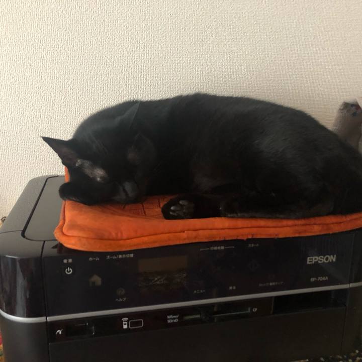 2cd42b3f dc53 4a2e b8c8 df4d250e9fe6 1560676718062