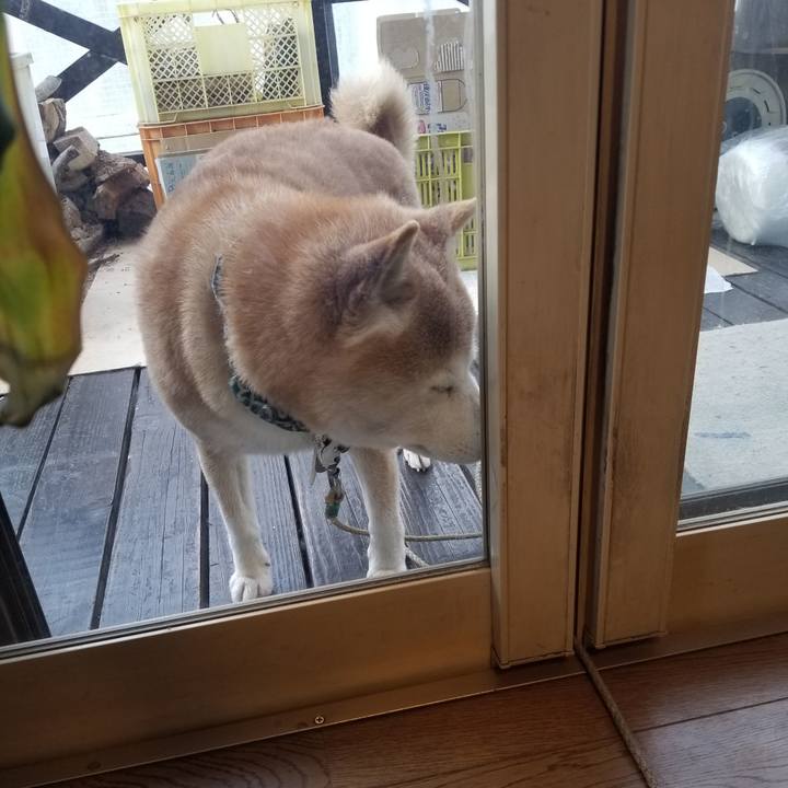 2cd436cc 71d1 445e aa6a d65a46c07b2f 1709160702291