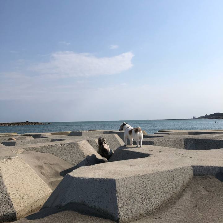 2cd446d8 9f8b 4652 9824 72a9ad8f12fc 1587778633940