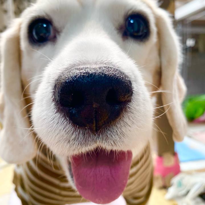 2cd48bdc 0146 44cd 8520 dcc4475a5259 1648698579415