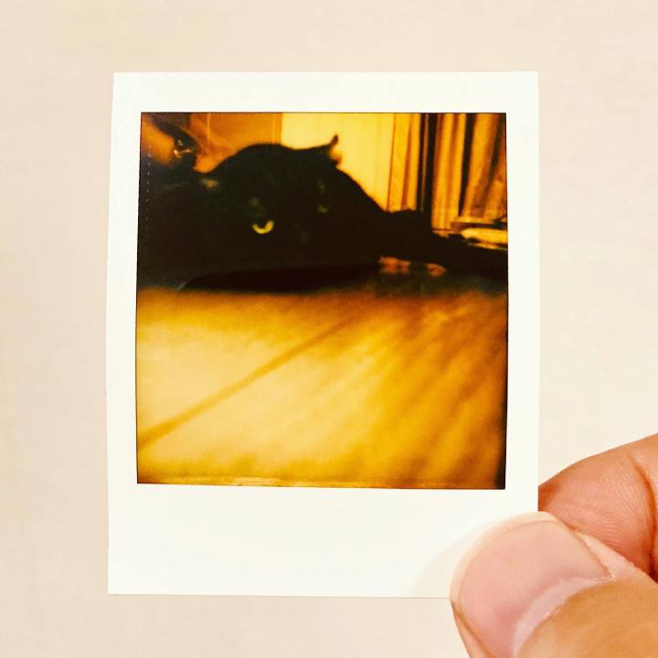 2cd4a8b4 5115 40cf a920 cc591112183f 1622125715068