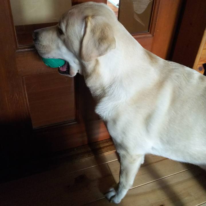 2cd4bbaf 4fa8 4d6e 8bfe dbafab434626 1533455269140