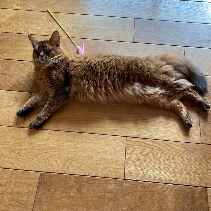 2cd50732 c947 4558 8723 0726a857a47d 1669164766496