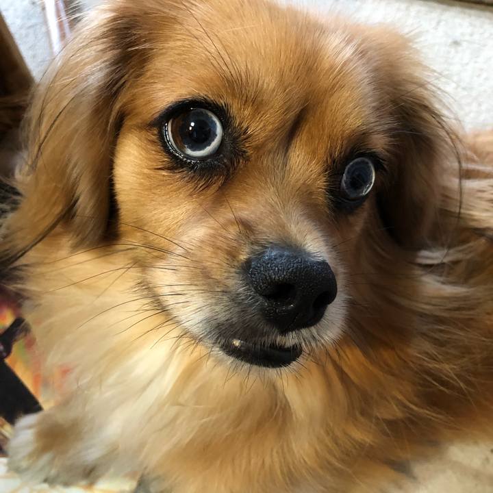 2cd52868 8783 4f01 9e7e 93934edcad02 1571013798468