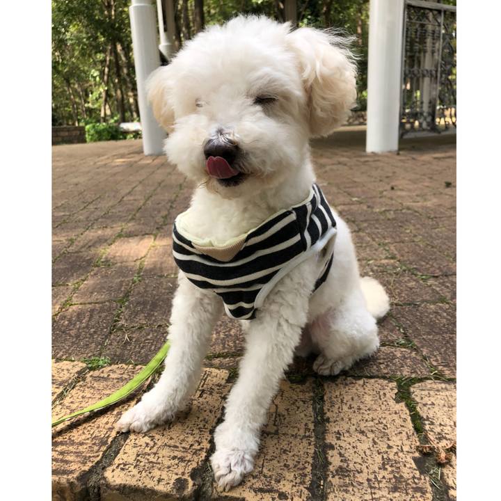 2cd5cdb7 0bfd 434a a18c 25de3eb27ddd 1539141555403