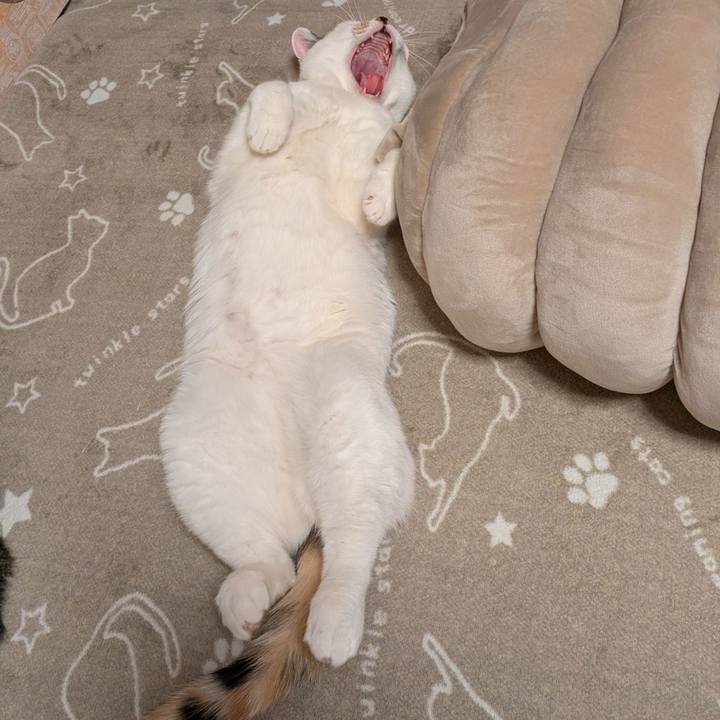 2cd5de8b bc58 4daa bd8d 17dbd8a72f0f 1740301918827