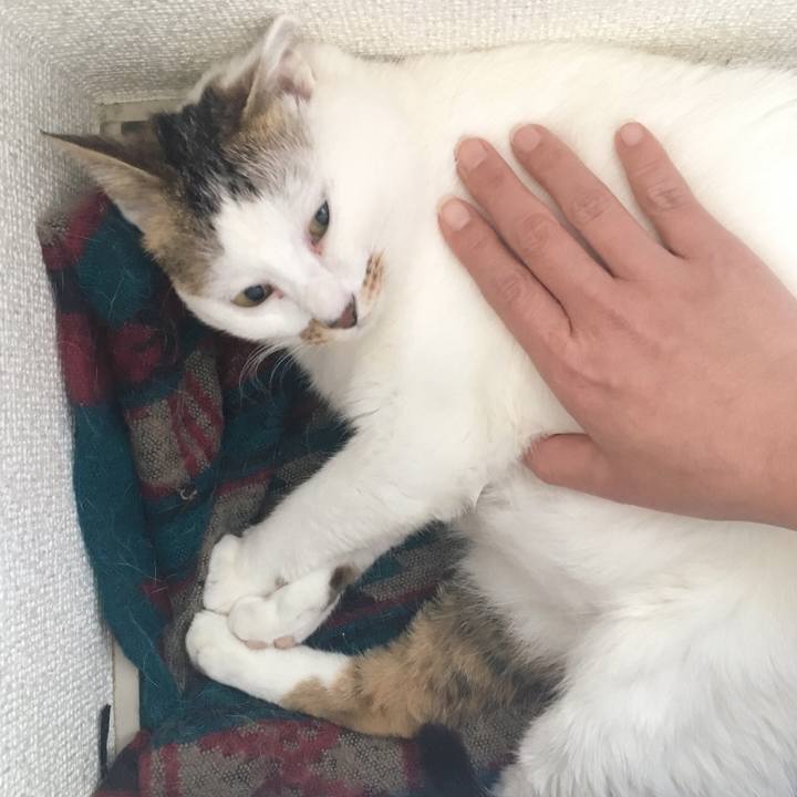 2cd5e007 99e0 427a 8098 68a48b205250 1524885162445