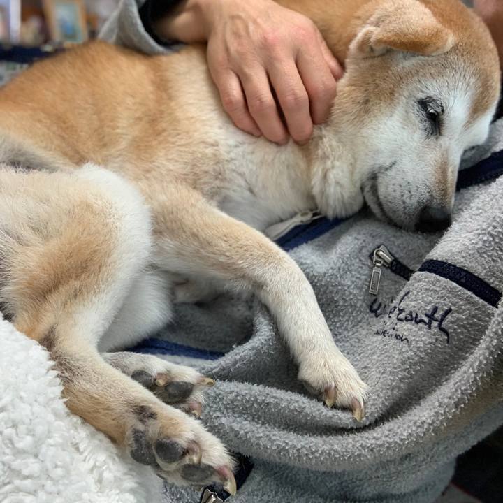 2cd6088f 8109 4277 92ab 14d99ce0ce3c 1576125123753