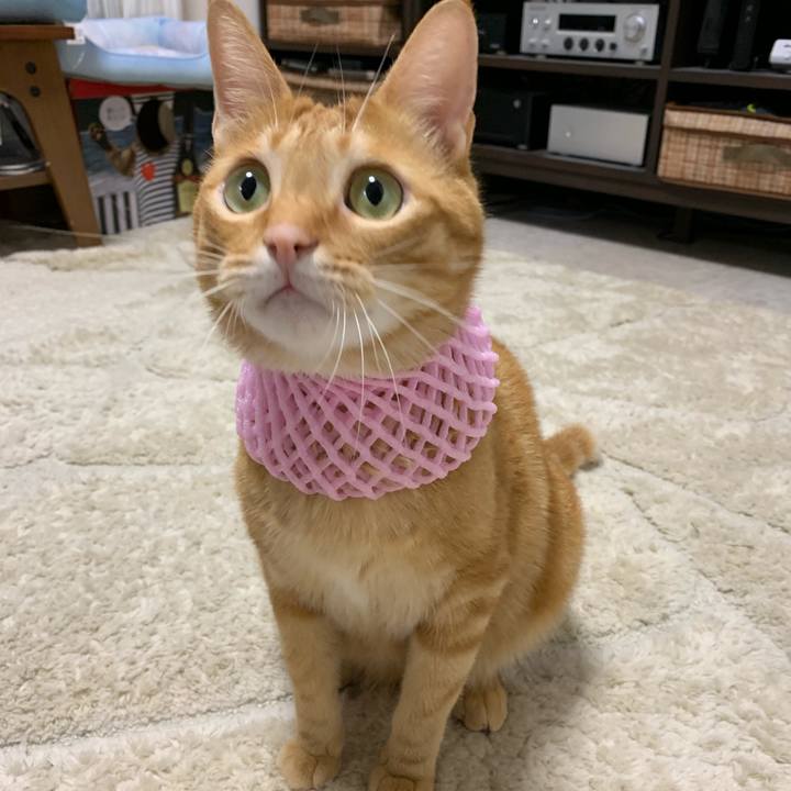 2cd60b71 3af9 4f01 b671 2db42ee63b9e 1563715778694