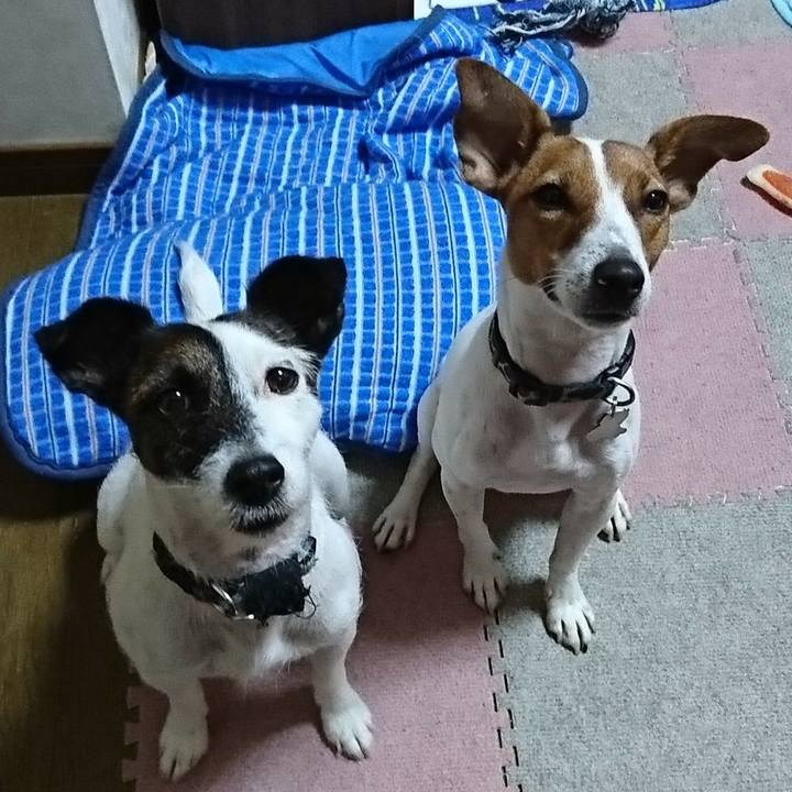 2cd60f03 9e94 4312 b7b1 9289ad254827 1533730322868