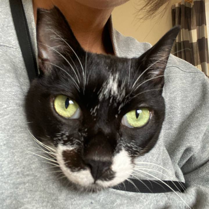 2cd61a97 4dcd 439c 9a41 e7725efe7adb 1669589478971