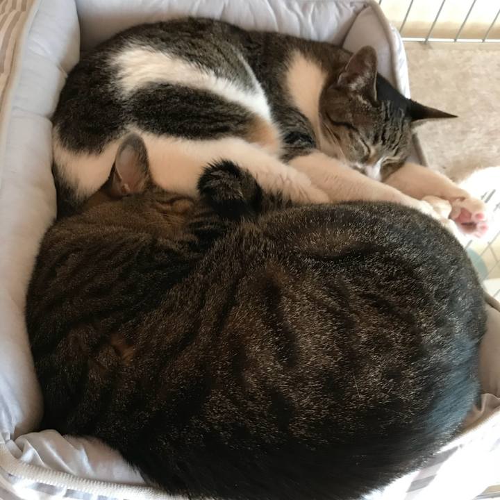 2cd62352 a881 46d3 a023 d772b8619bb7 1532392580138