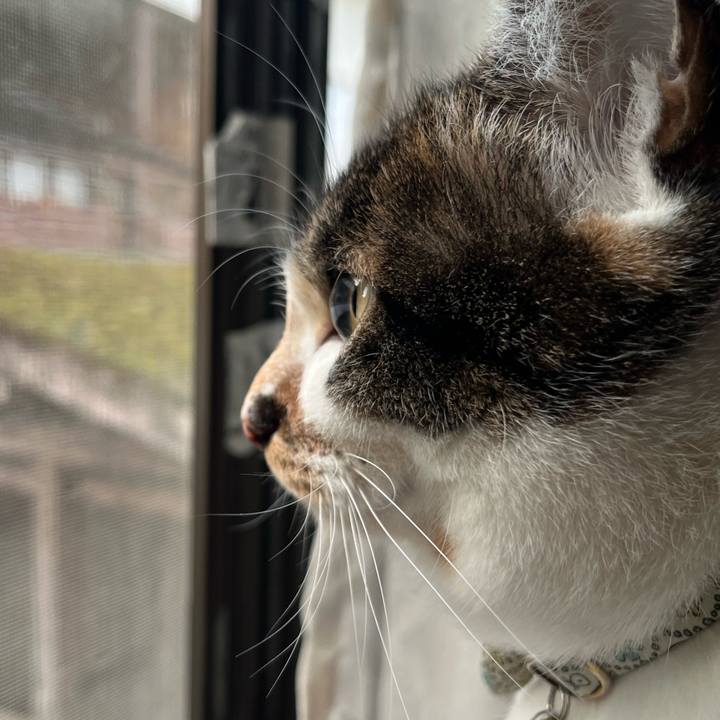 2cd625aa 0177 4153 9a0c 4ecd506b7b8d 1773178299889