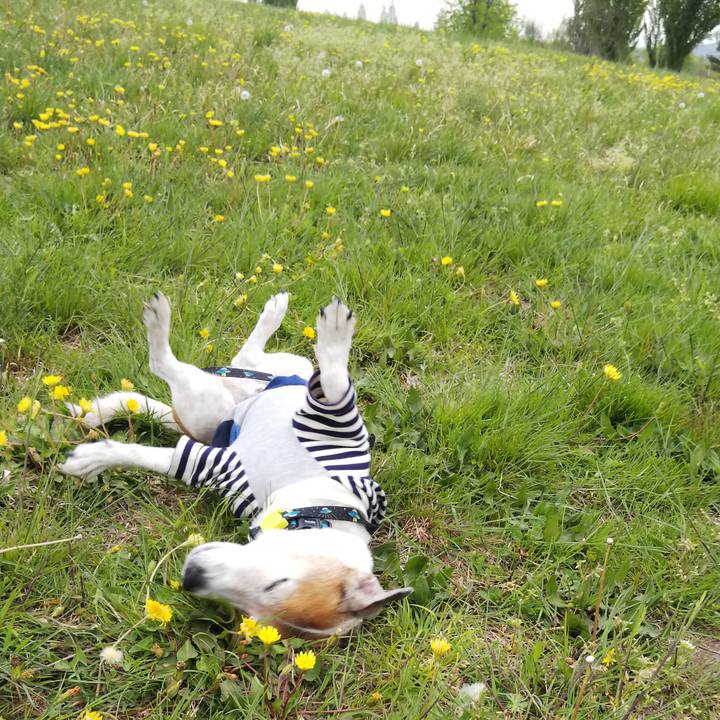 2cd62764 6a8c 4dc8 a61c 440740632ae8 1523690417678