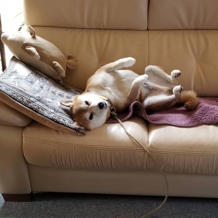 2cd6562c 3d97 406c b00f 7da188a94712 1565499889643