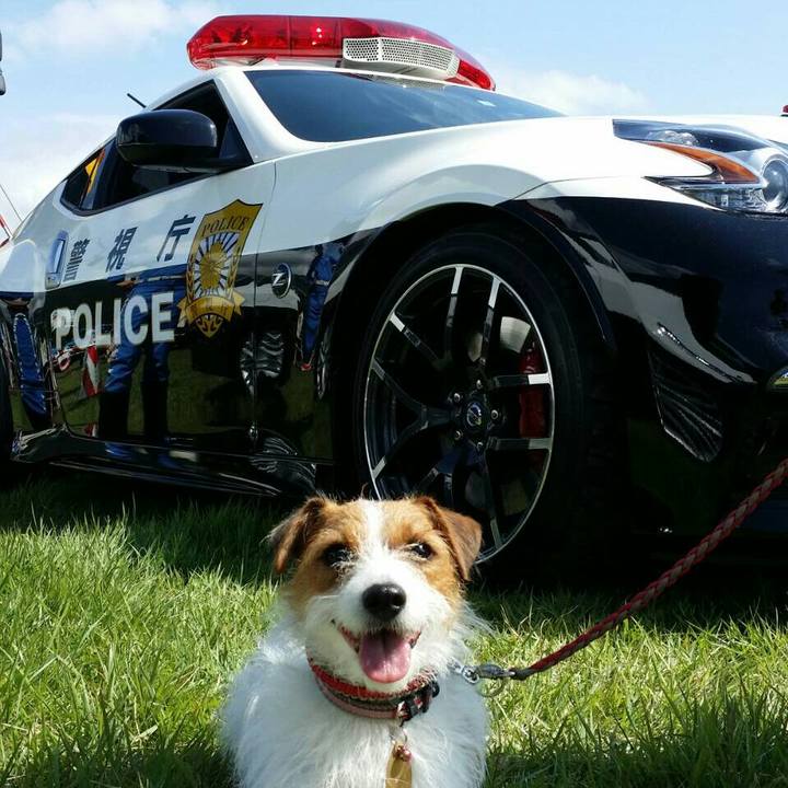 2cd671bb c8e1 4ee4 955b 3021acd28750 1537755895340