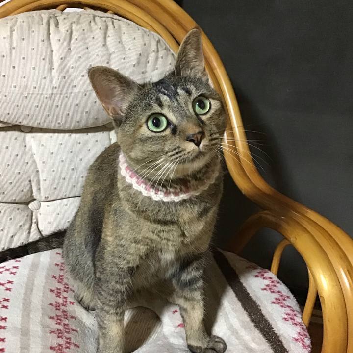 2cd68142 4d3e 415b a9ee ca560b248827 1659614056040