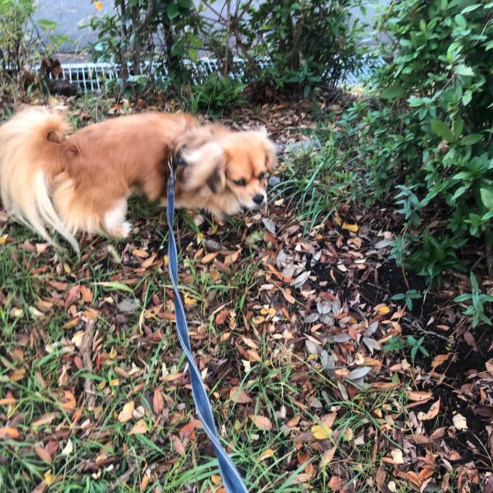 2cd68431 8854 4587 86ac 50801c5b4edf 1541972563361