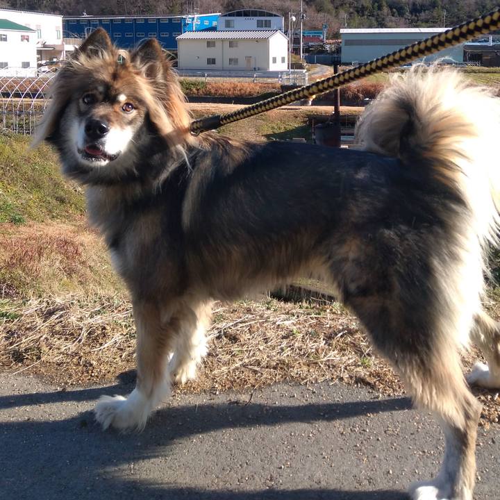 2cd68549 3afb 4ecc b78f c5de8284e1c8 1578807292885