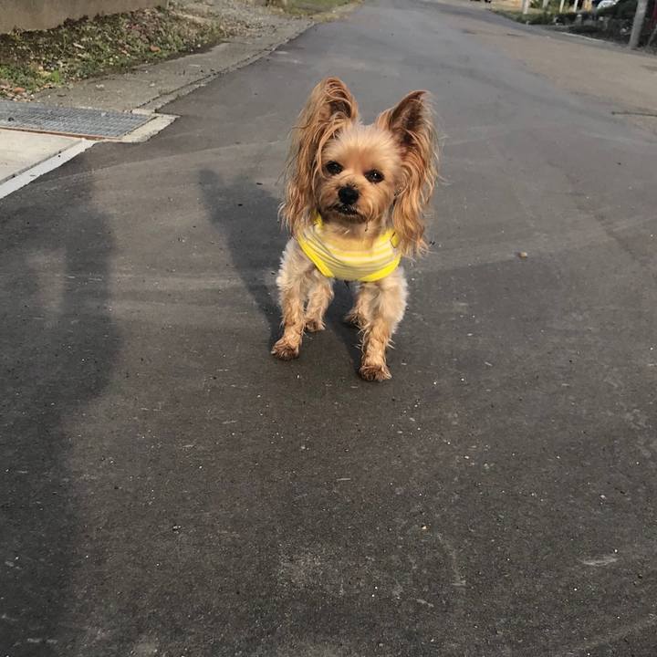 2cd6d275 b00c 41dd b5d9 491e910f58ec 1566887783708