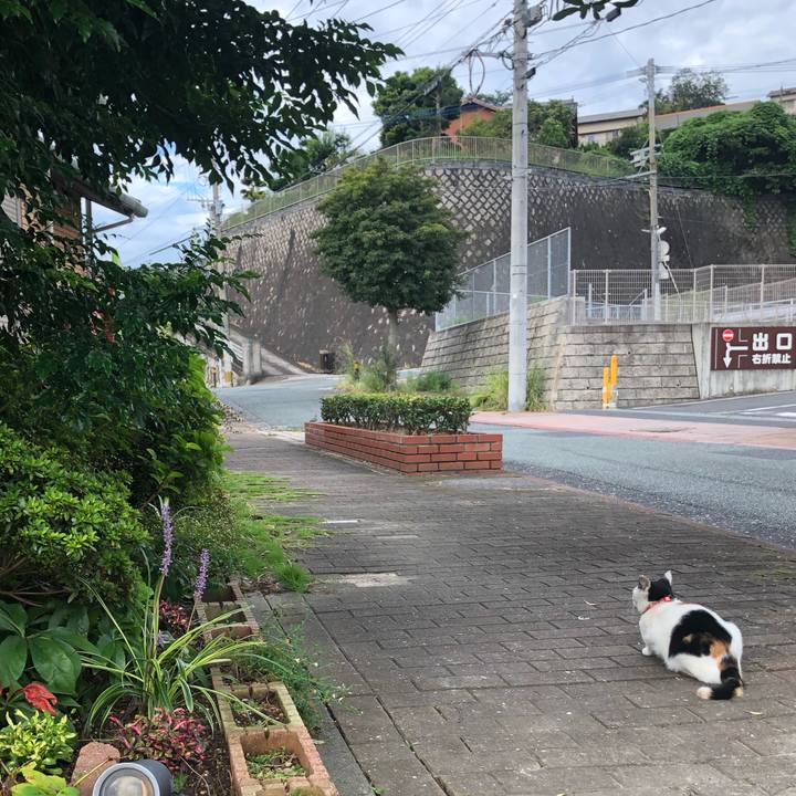 2cd71fc7 02b5 447b 9c96 71efd04ec9c9 1631371282775