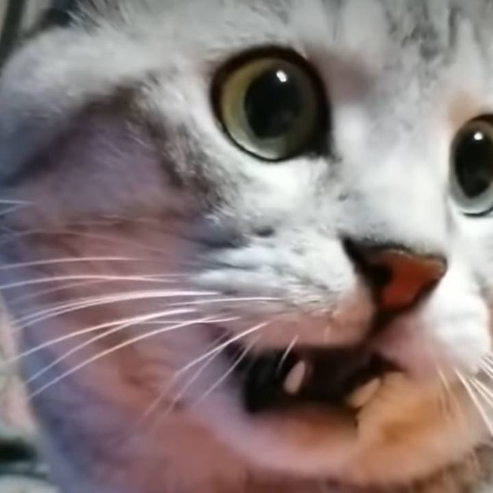 2cd7359f d588 4136 9da0 57fa783ed104 1659871408658