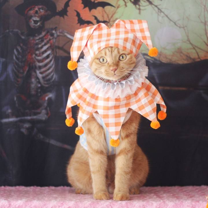 2cd74f70 12a8 4ad2 a11c 3daefcbd92c9 1695888157770