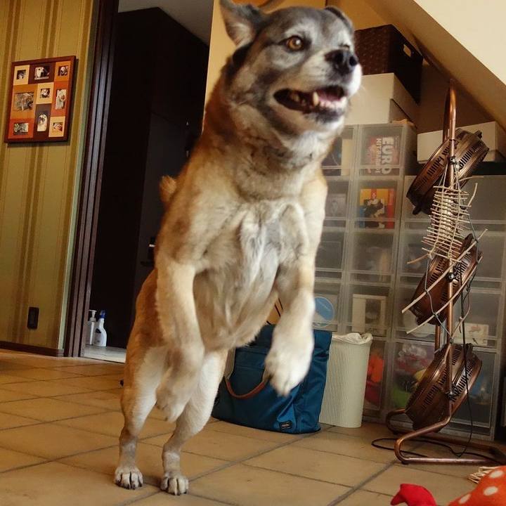 2cd75dd5 d4de 484d bd35 c9f7c1f604fb 1519435530347