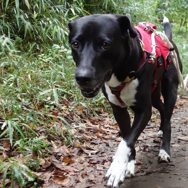 2cd76b26 02a1 4c0b 8e98 b013bb3e42aa 1635209773889