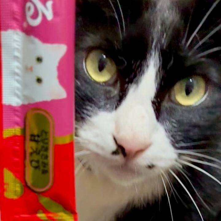 2cd77794 ce32 4f2f a1af ae9f40f8166b 1746158994516