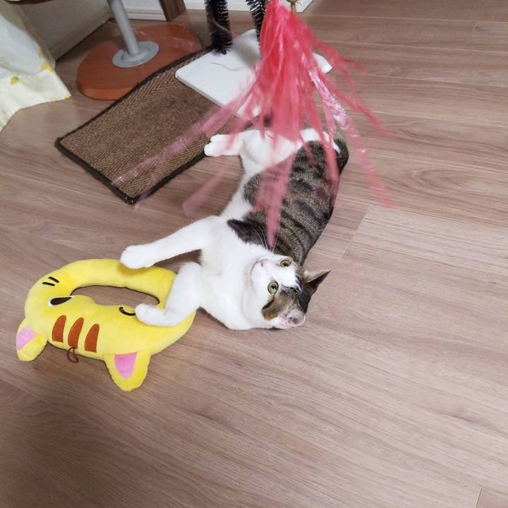 2cd79648 a24e 409a 96e3 0e0f2ef6f9b7 1583408927836