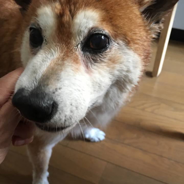 2cd7a50b cce2 4818 baaa f156a3f19ad4 1531707615362