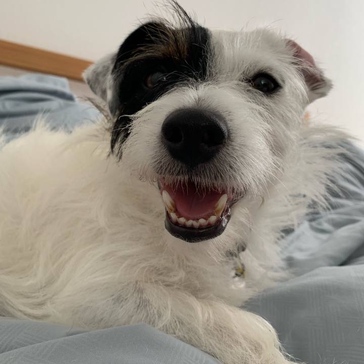 2cd7b8be a03e 43bf ae6f 0431a602aacf 1566436153624