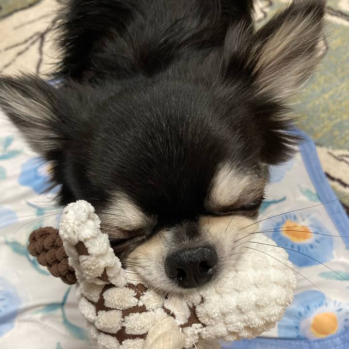 2cd7bedb 67f3 4362 a2ec 0cb15ec3c612 1623505138786