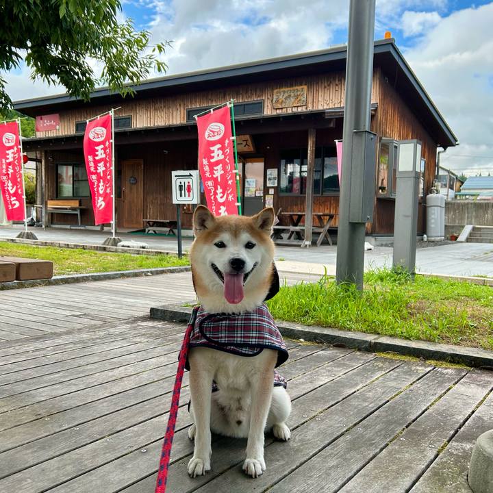 2cd7c9bf 4a4c 4d27 8331 59ac9349bfea 1724584792821