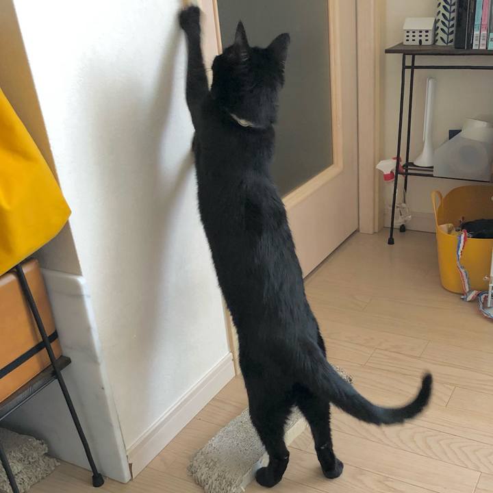 2cd7e12b fa48 46ed 83fc 15040f15d809 1612579401778