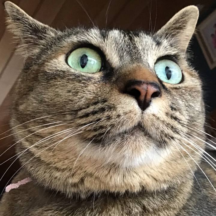 2cd83321 3ef8 4668 97f9 124e033d4b0f 1683439152267