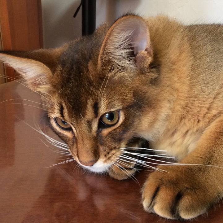 2cd83fd9 cbf7 43a8 af1c 6ca493bae0e5 1576192826278