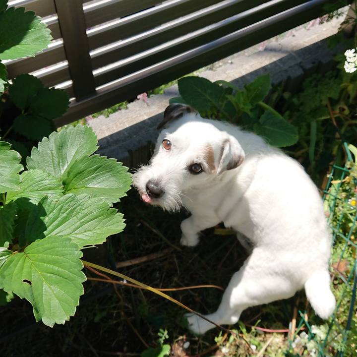 2cd86ee3 5059 4dcb a473 1dffaf34faea 1558655078084