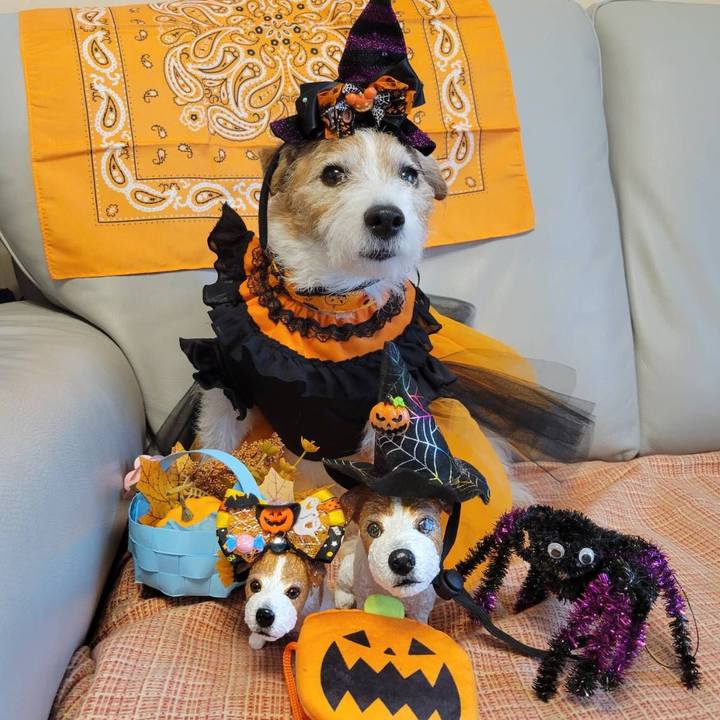 2cd8717c b468 44f7 8fea 78c7ddda43e7 1761879174130