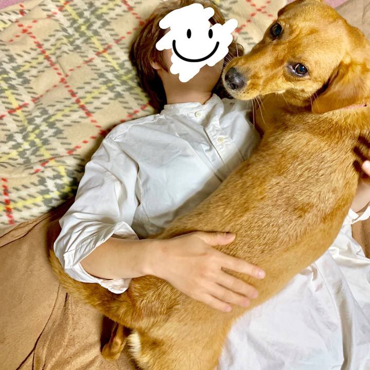 2cd899e1 40e3 420a 9e10 09c779476c87 1560822411606