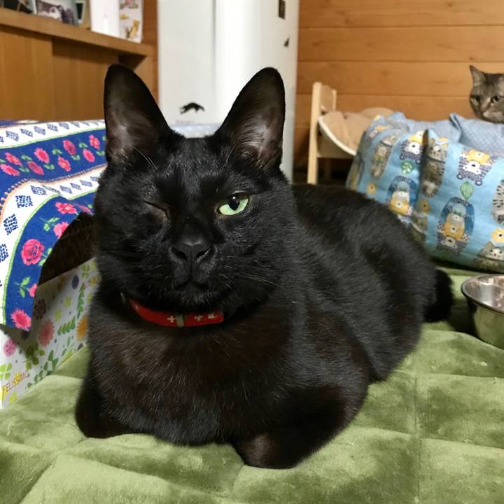 2cd8aca4 eaf7 44d0 b965 3bc147e27e99 1517215964682