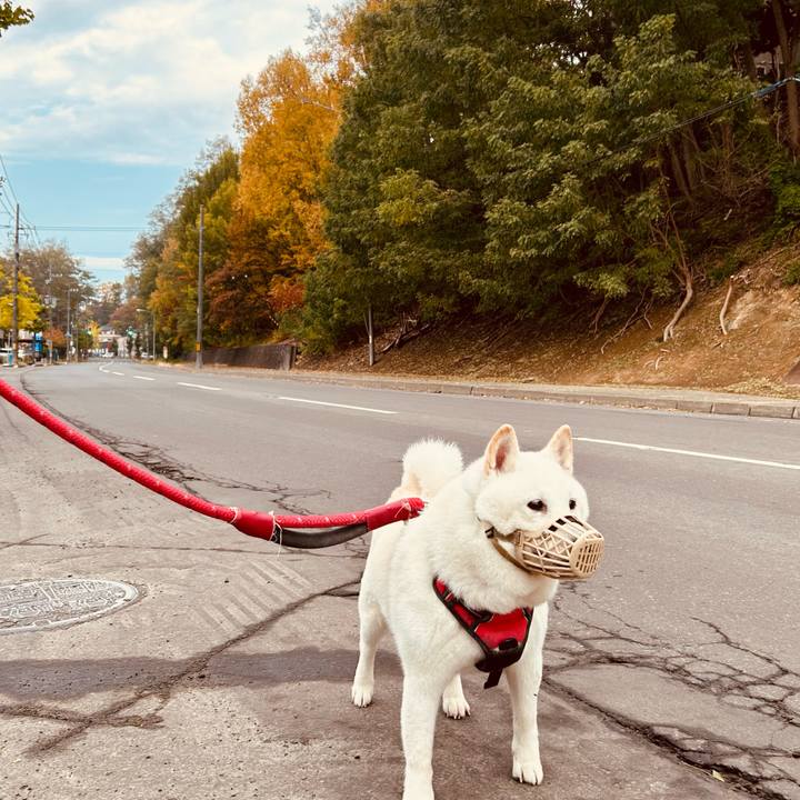 2cd8d1c3 0235 41a8 aa1e 975c38495a80 1761517189497