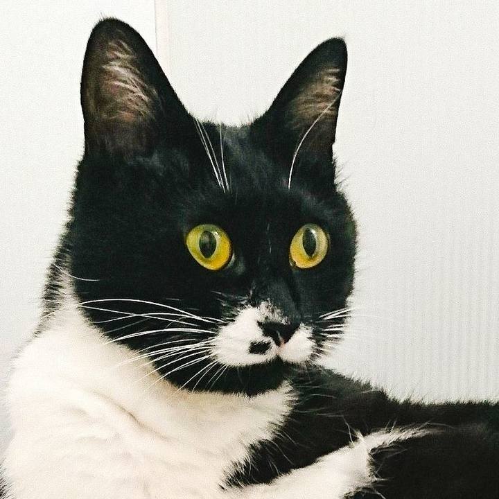 2cd909d0 bbb1 41df 8568 bbae6109f780 1527776695306