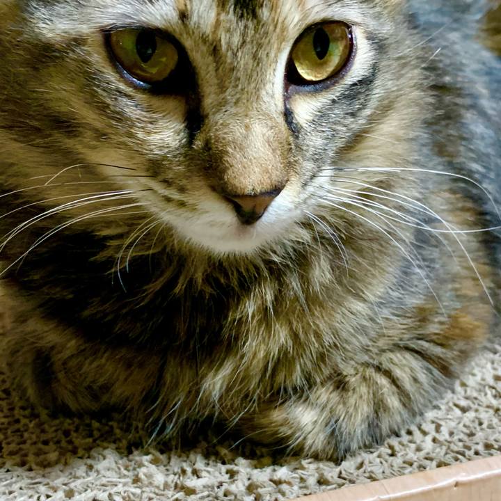 2cd94faf a47f 4c25 b98d 743022882594 1648899218713